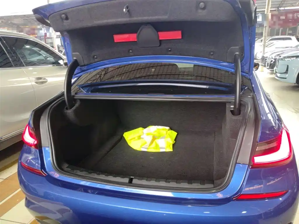 BMW 3 Series 2020 320Li M Sport Package фото 19