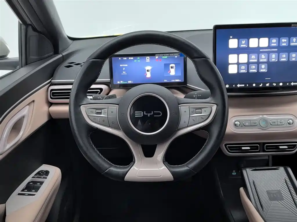 BYD Seagull 2025 Smart Drive Edition 305km Freedom Version фото 11