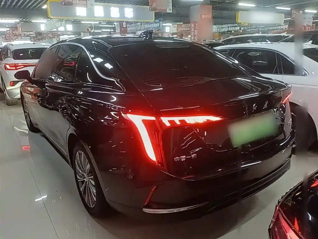Hongqi E-QM5 2023 560km PLUS фото 5