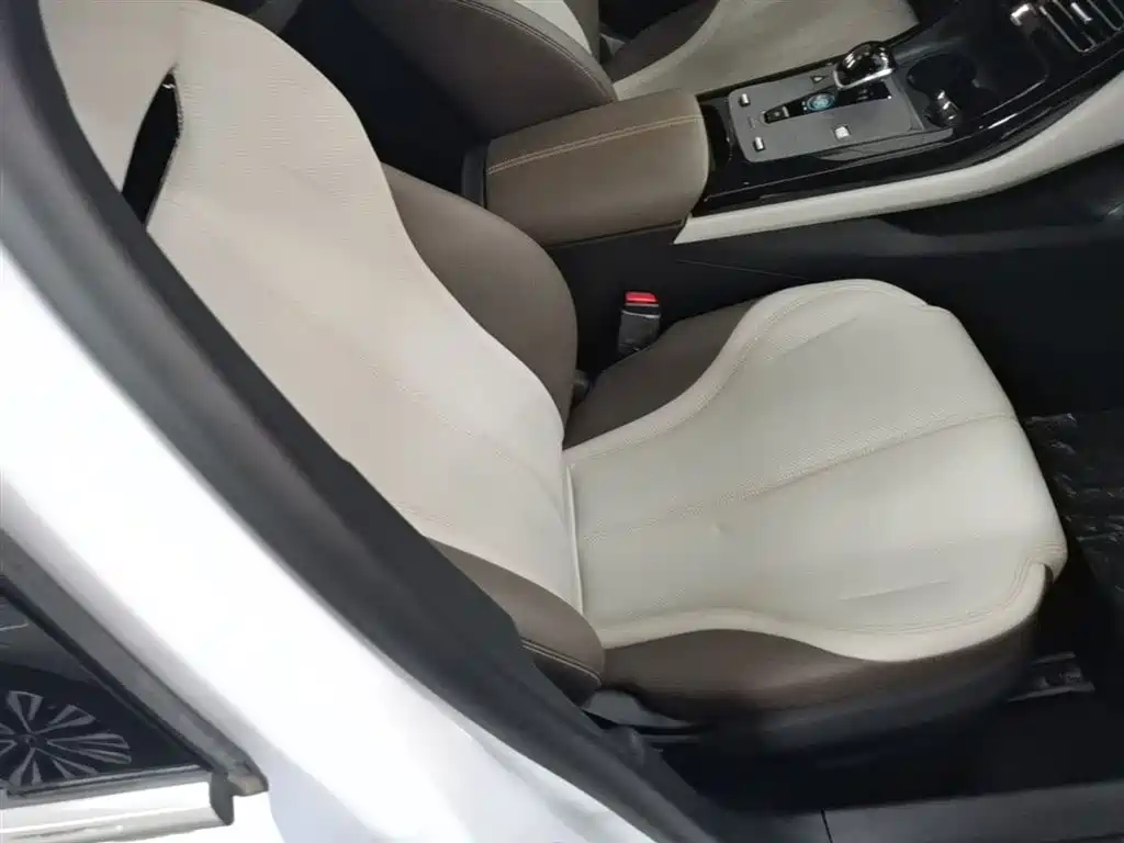 BYD Qin PLUS 2023 Champion Edition DM-i 55KM Leading фото 25