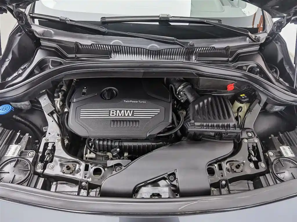 BMW 2 Series Gran Tourer 2018 220i Luxury Line фото 6