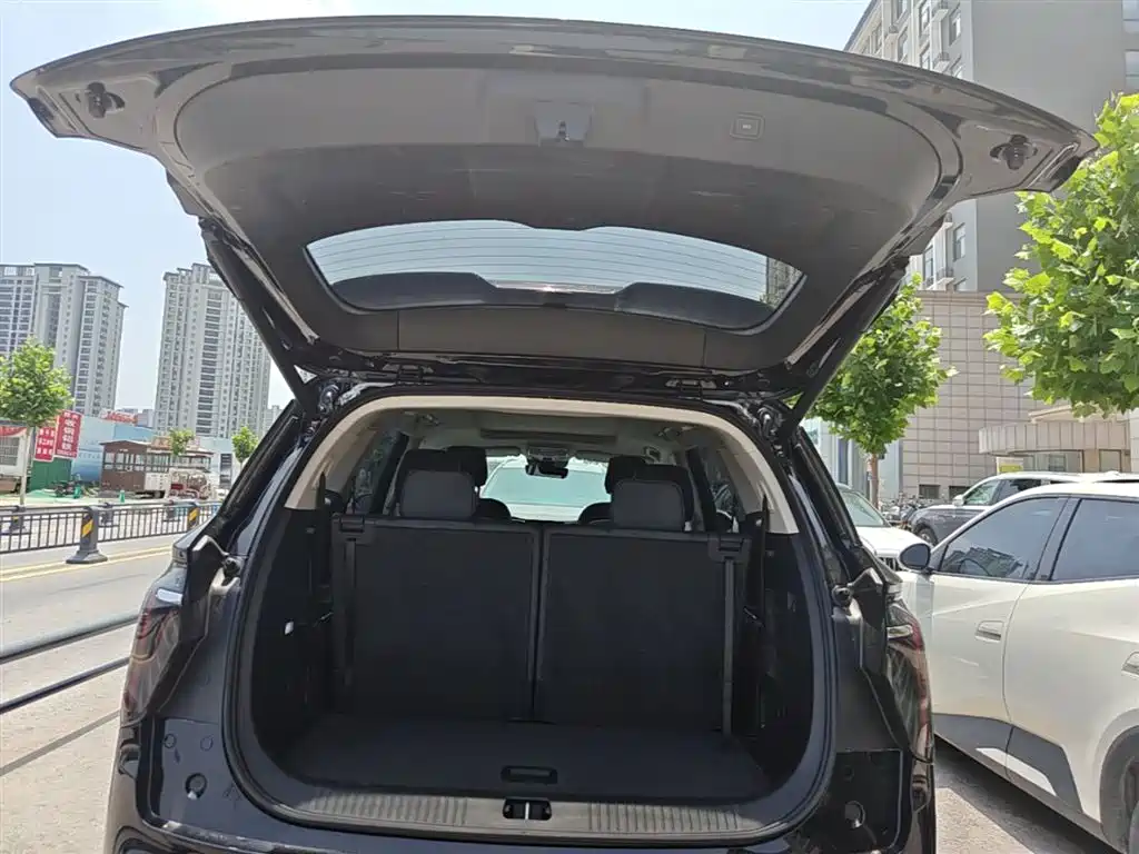 Hongqi HS7 PHEV 2024 2.0T PHEV 4WD Flagship Edition 6-seater фото 19