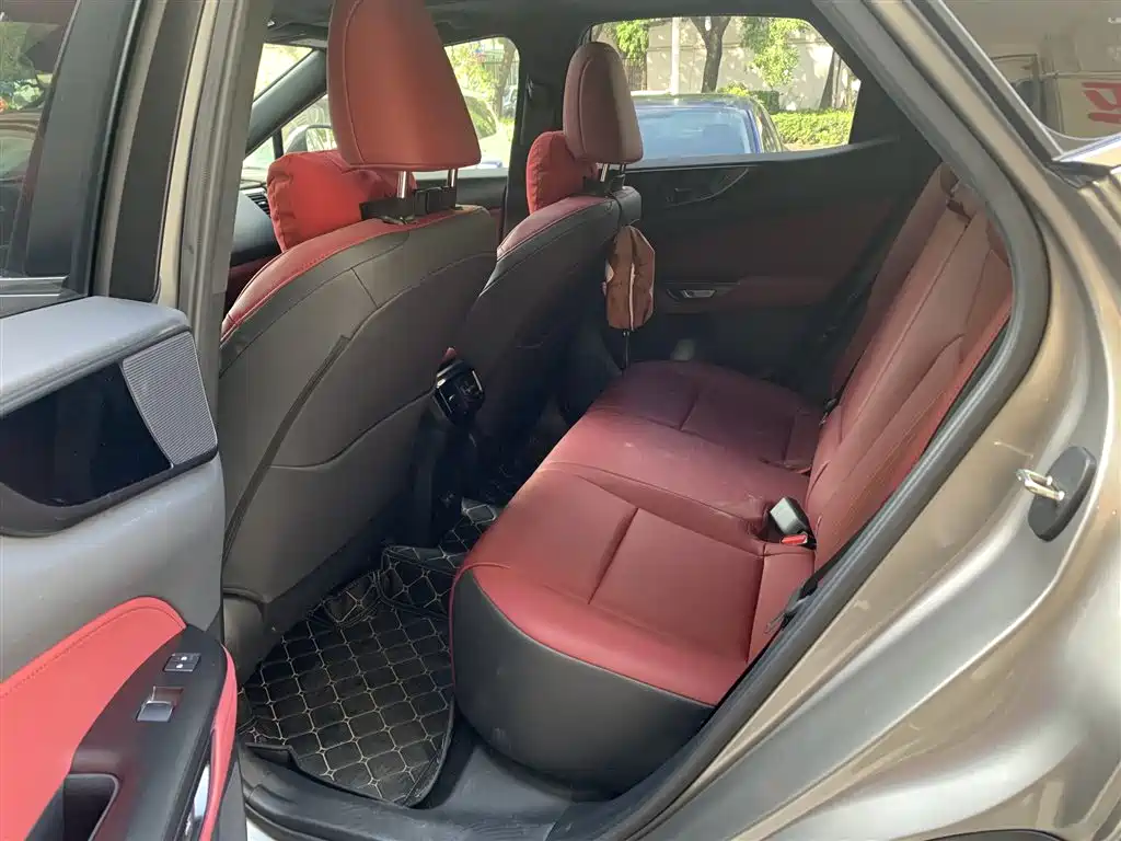 Lexus NX 2024 2023 260 FWD Joy Creation Edition