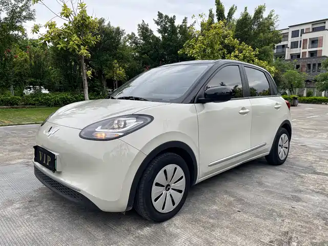  Wuling Motors Wuling Bingo 2023 Model 203km Lite Enjoyment Edition