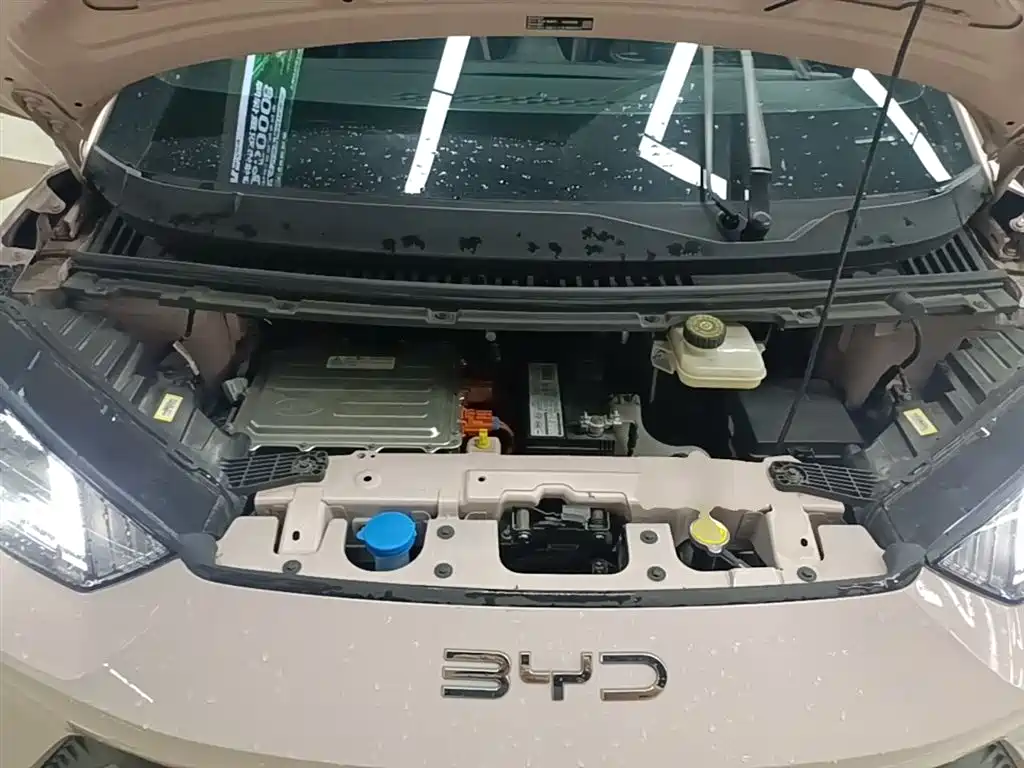 BYD Seagull 2023 Freedom Edition фото 20