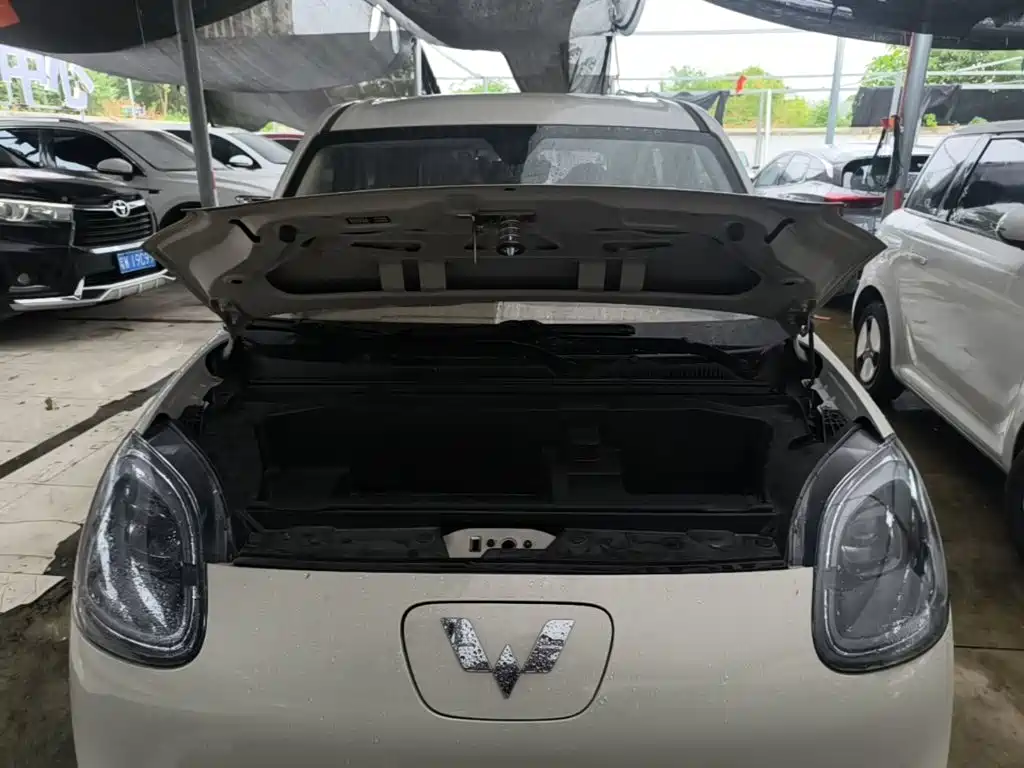 صورة 20 - Wuling Motors Hongguang MINIEV