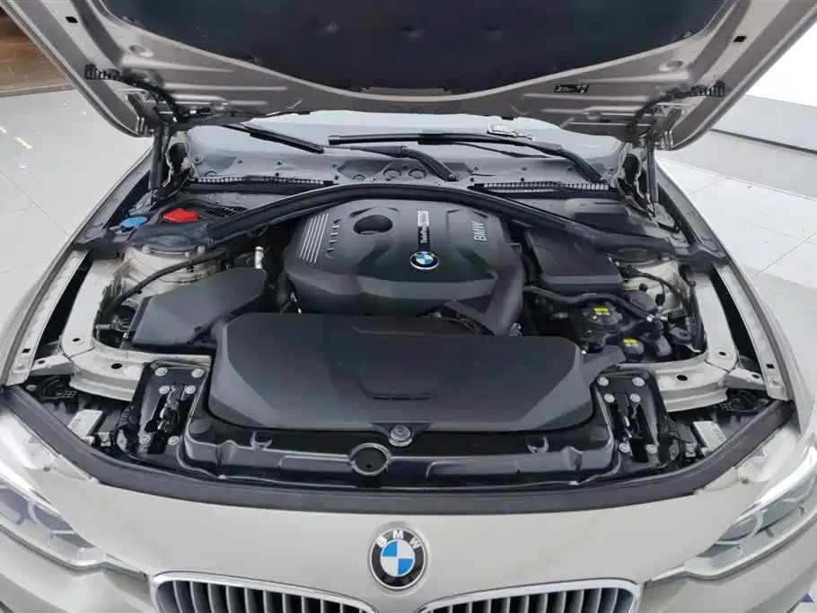 BMW 3 Series 2018 320Li Fashion Style фото 10