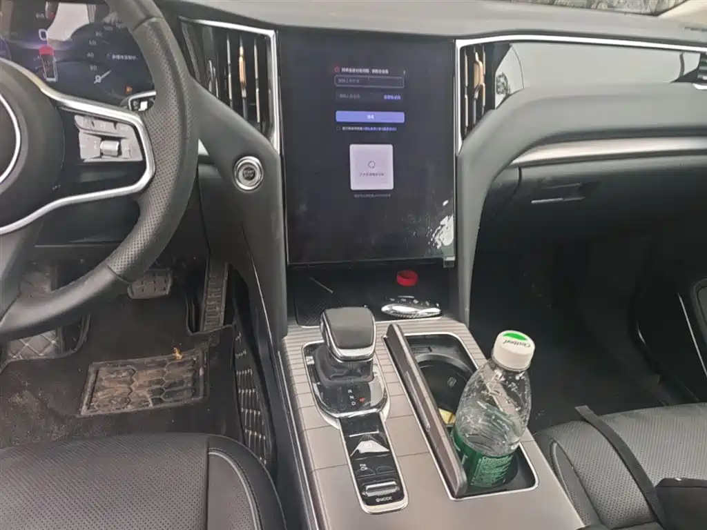 Hongqi HS7 PHEV 2024 2.0T PHEV AWD Qichang Edition 7-seater фото 13