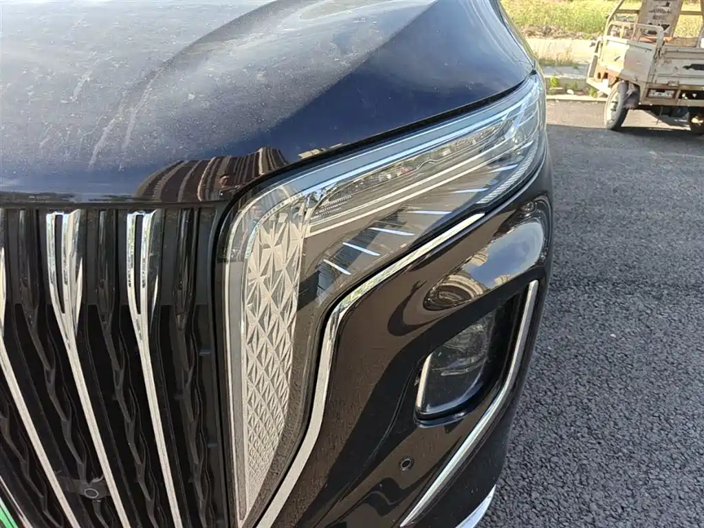 Hongqi HQ9 PHEV 2024 Model 2.0T AWD Business Edition фото 24