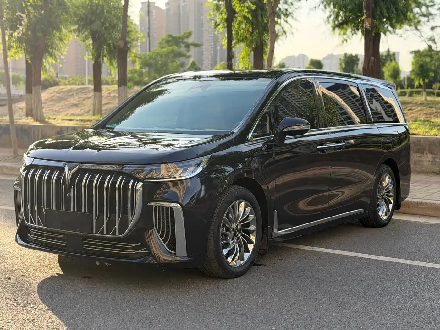 Voyah Auto Voyah Dreamer 2024 PHEV Extended Range Flagship Edition