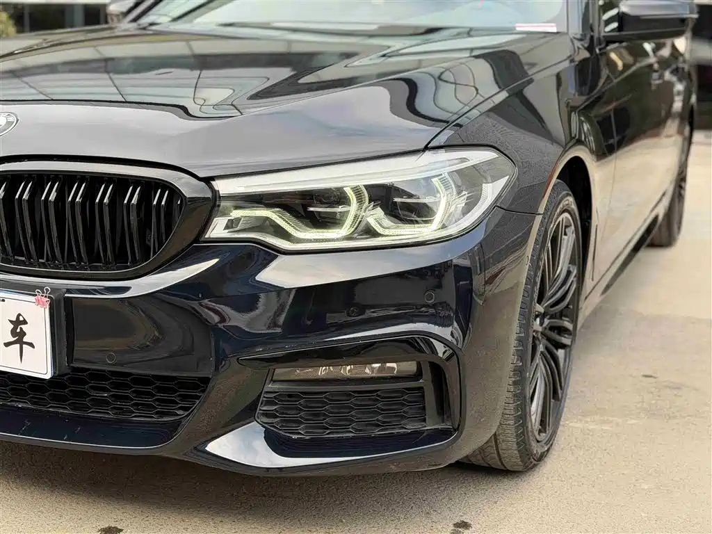 BMW 5 Series 2019 530Li Premium M Sport Package фото 6