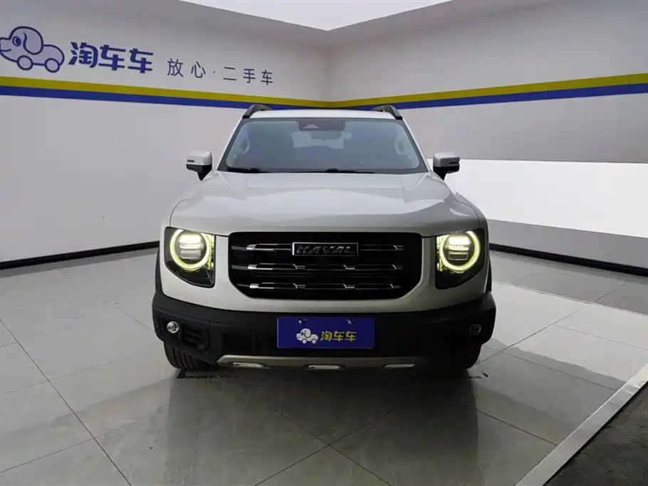 Haval Big Dog 2021 1.5T DCT 2WD Border Collie Edition фото 2