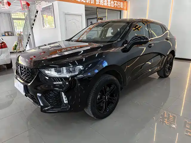 WEI PAI WEI BRAND VV5