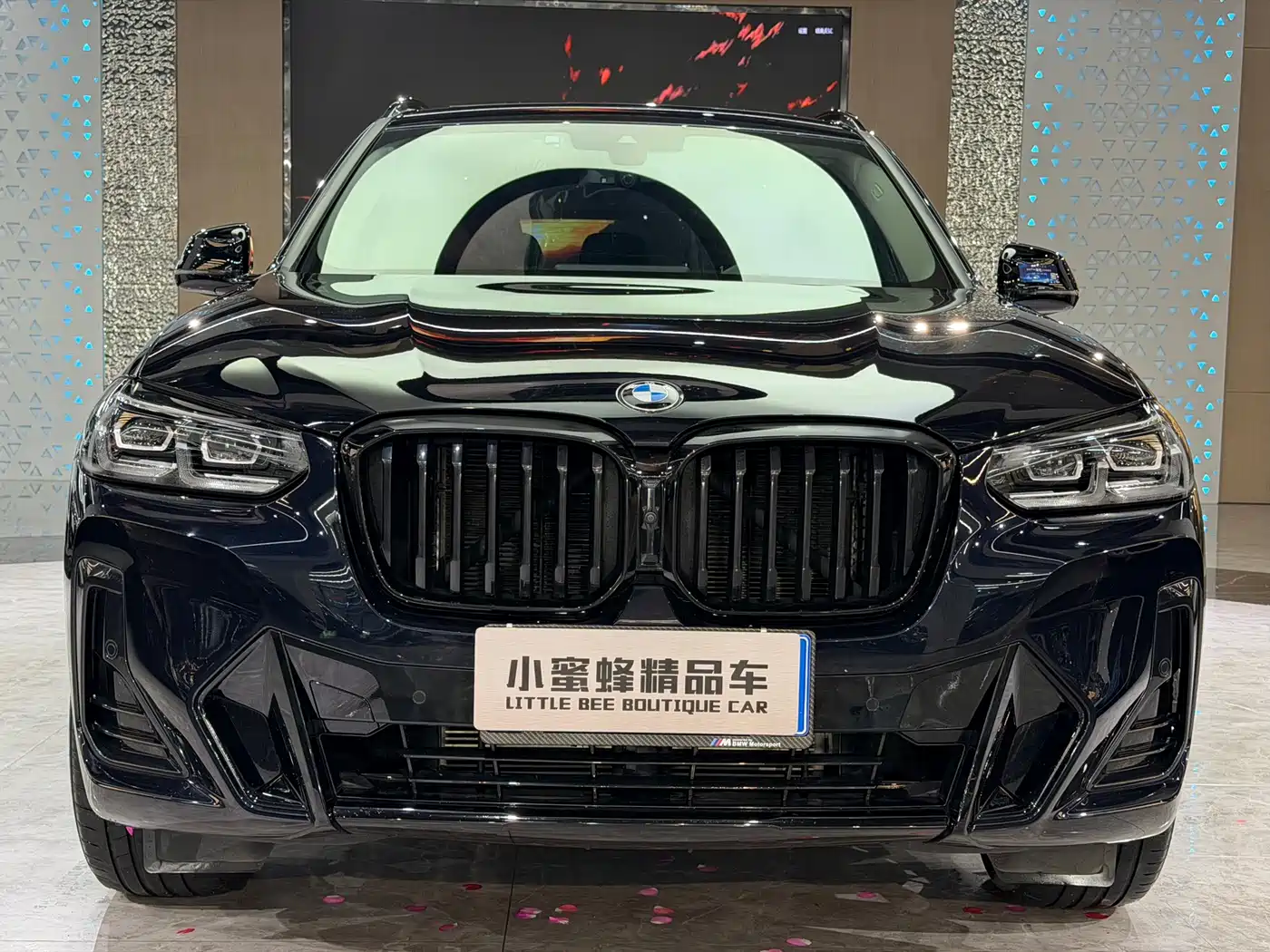 BMW X3 2023 xDrive30i Leading M Night Package фото 2