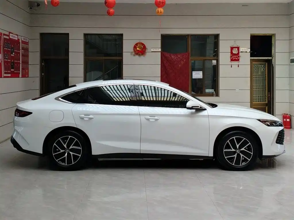 BYD QIN L