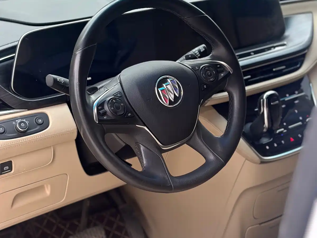 Buick GL8 2022 ES Landmark 653T Luxury фото 10