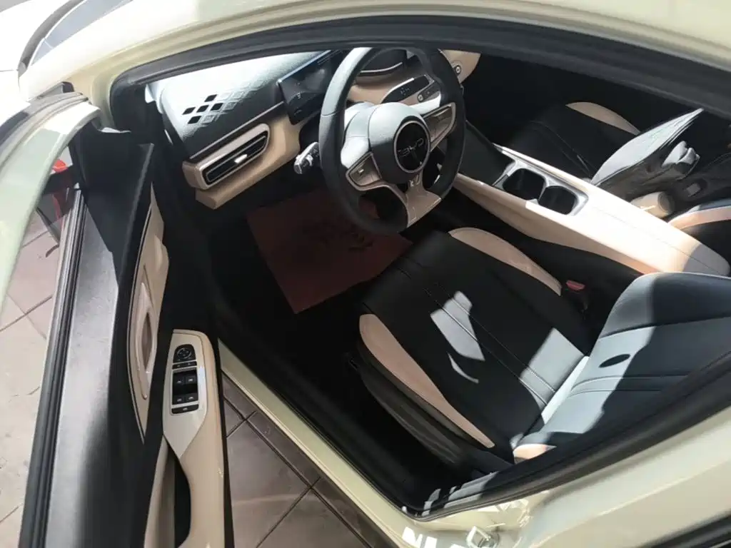 BYD Seagull 2026 2025 Smart Drive Edition 305km Vitality Version