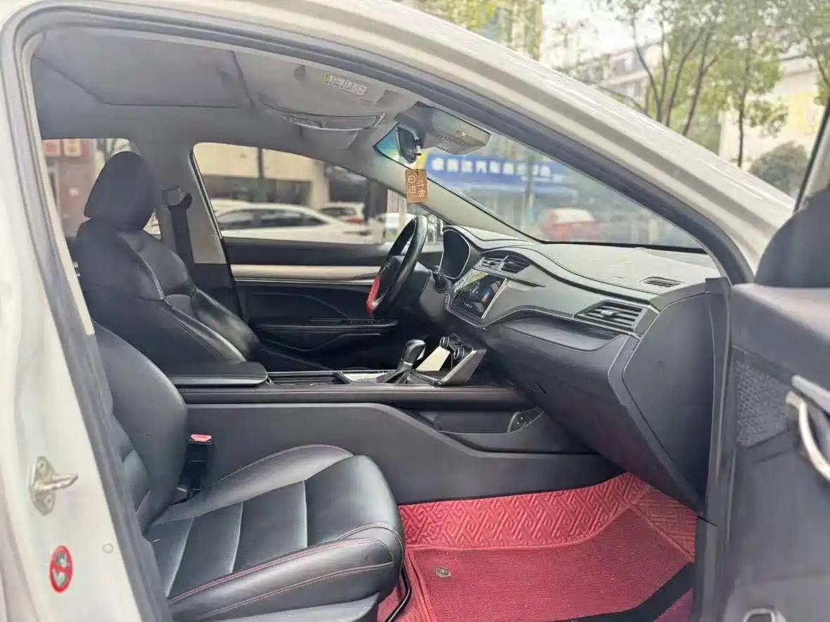 GEELY AUTOMOBILE BINRUI