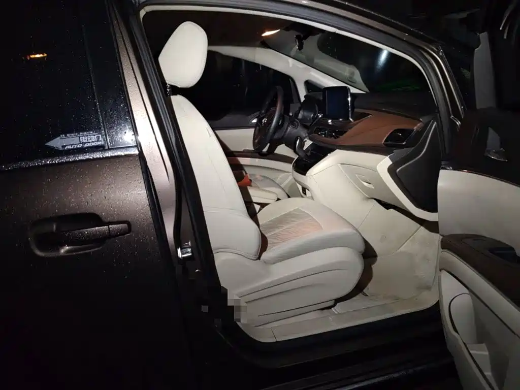 Buick GL8 2023 Model Land Business Class Comfort фото 25