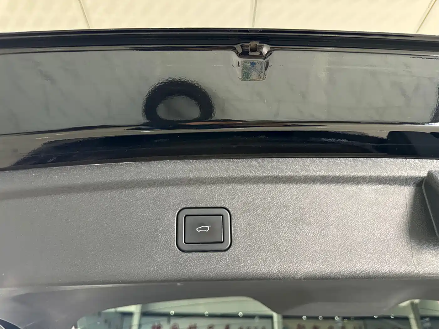 WEI PAI WEI BRAND VV6