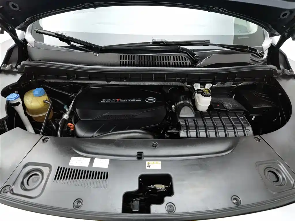 GAC Trumpchi Trumpchi M8 2021 Leading Show Series 390T Prestige Edition фото 6