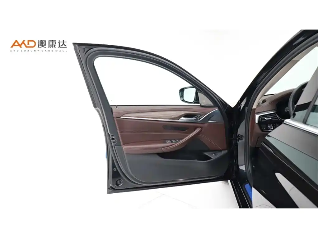 BMW 5 Series 2020 530Li xDrive Luxury Package фото 10