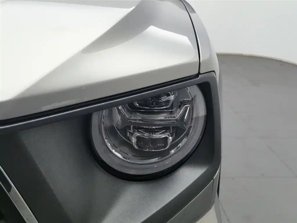 HAVAL SECOND GENERATION BIG DOG NEW ENERGY