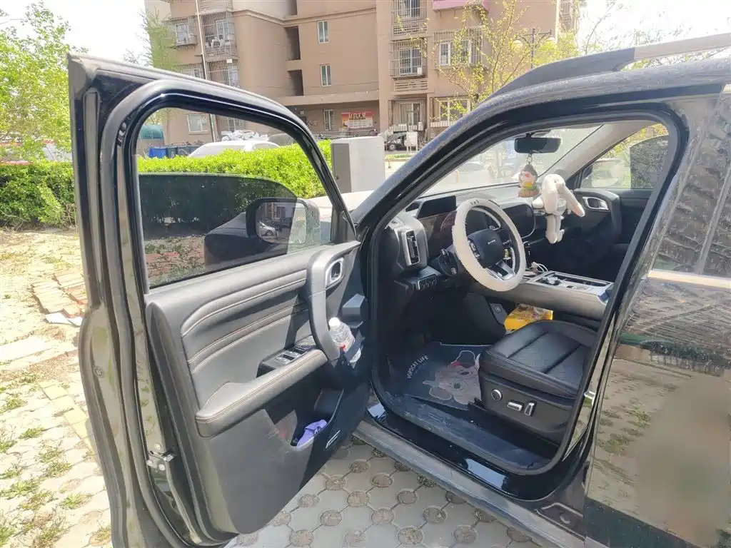 Haval Big Dog 2024 1.5T DCT Border Collie Edition фото 14