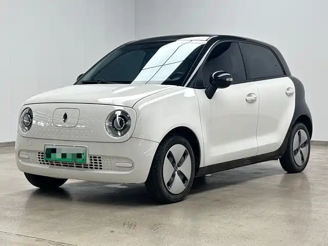  Ora Ora Black Cat 2021 301km Basic Model