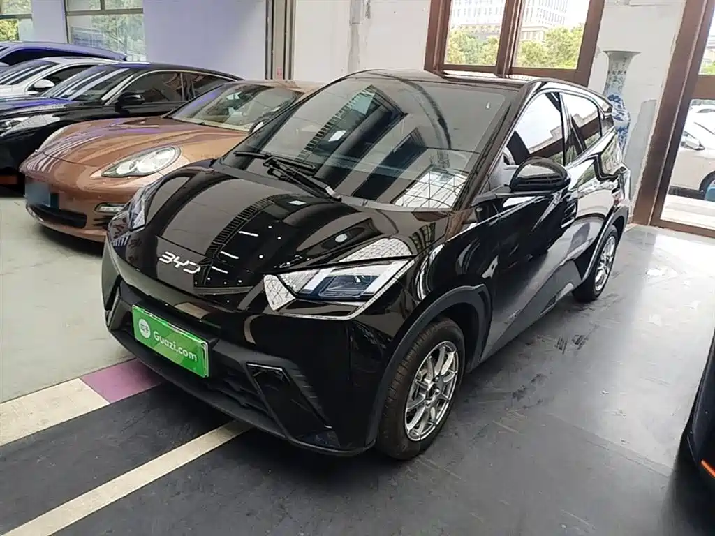 BYD Seagull 2024 Glory Edition 305km Vitality Edition