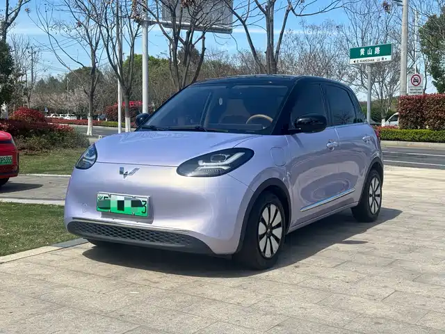 WULING WULING BINGGUO