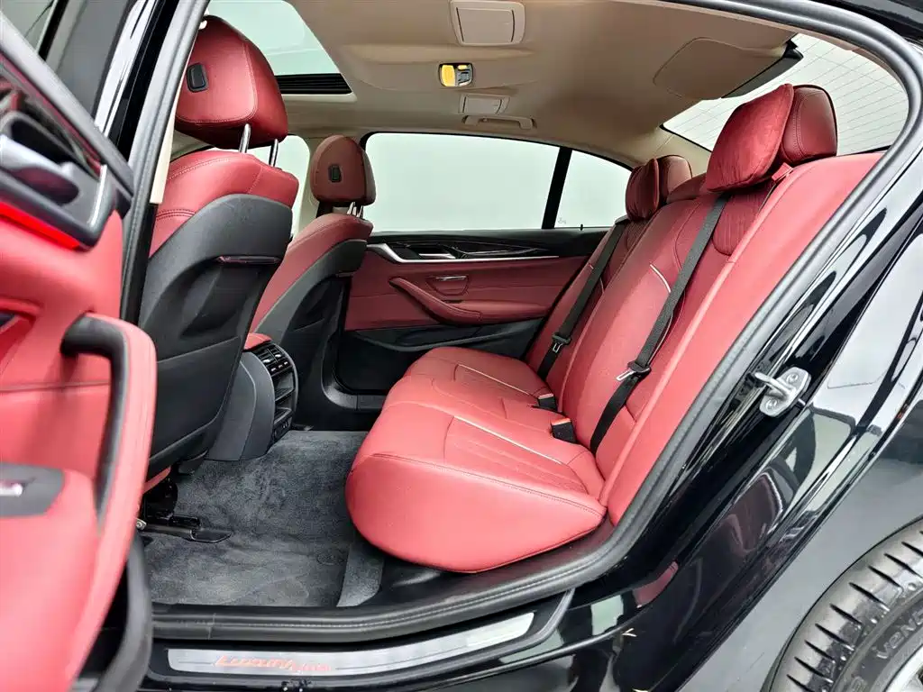 BMW 5 Series 2021 525Li Luxury Package фото 13