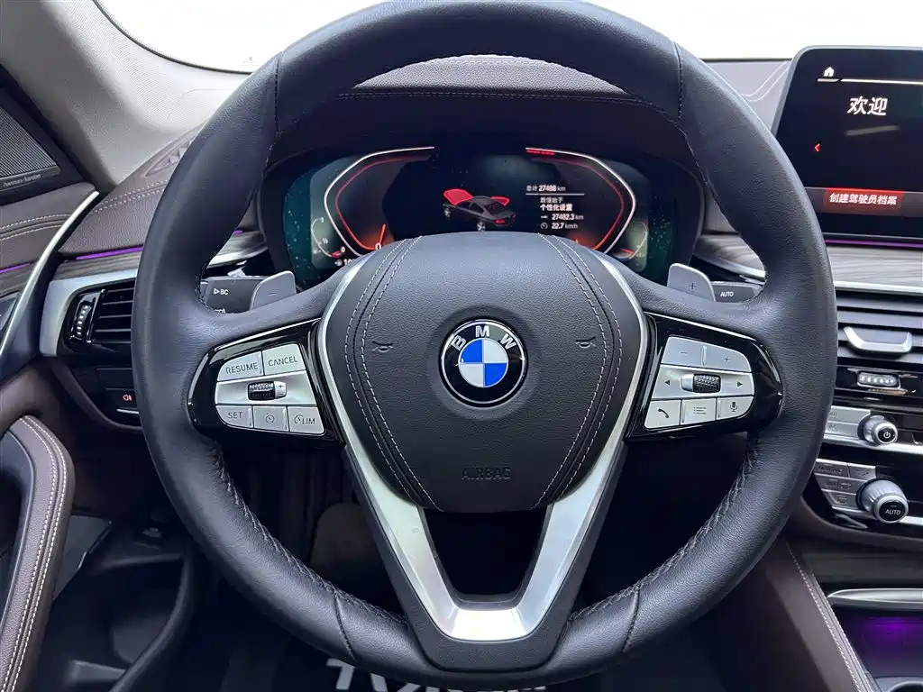 BMW 5 Series 2022 530Li Leading Luxury Package фото 15