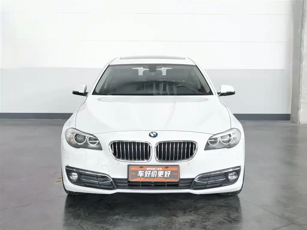 BMW 5 Series 2014 525Li Luxury Design Package фото 3