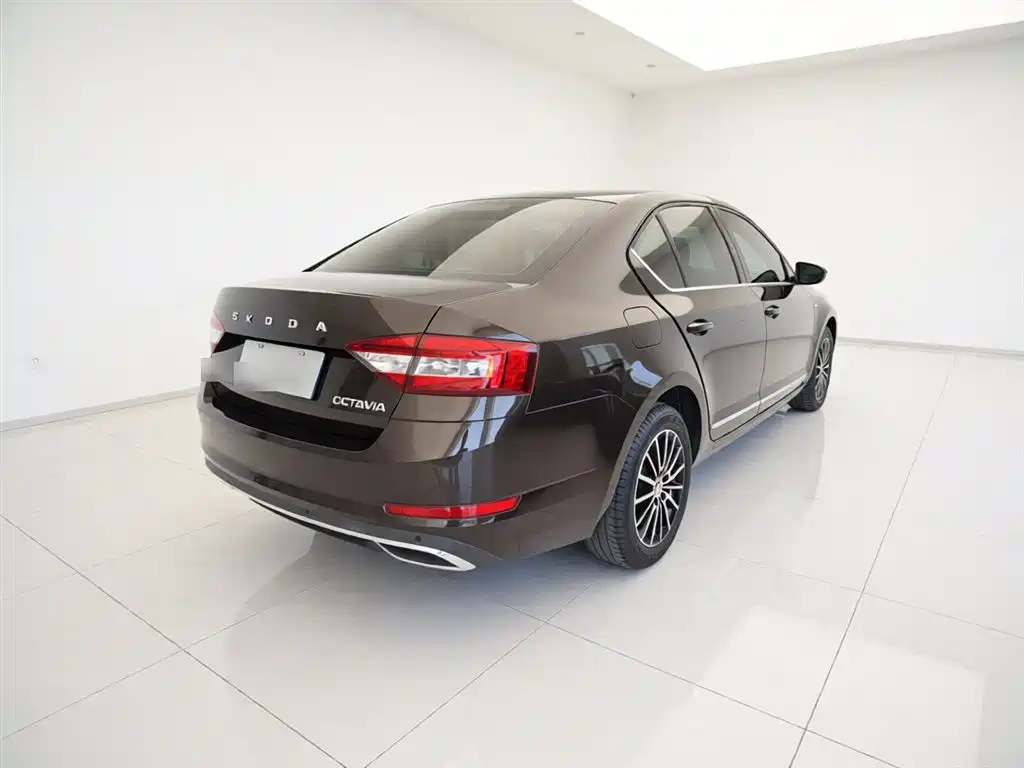 Škoda Octavia 2019 1.5L Automatic Smart Luxury Edition China V фото 7