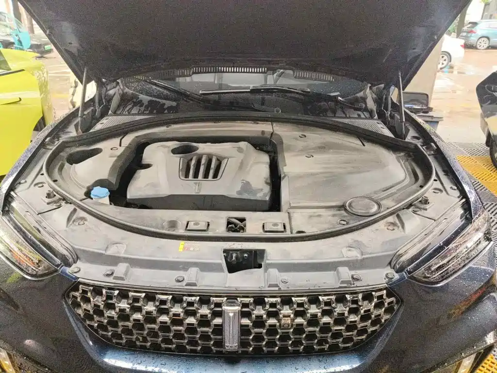 WEY VV7 2020 2020 Model 2.0T Flagship