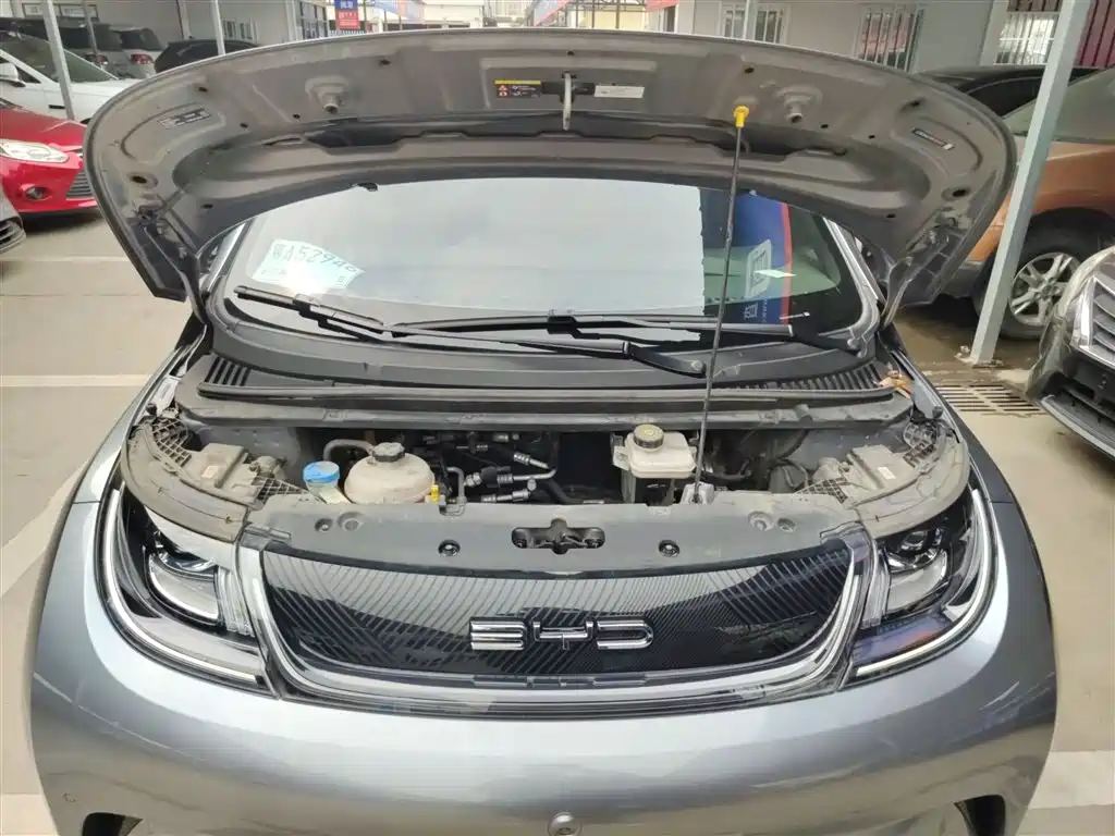 BYD Dolphin 2023 420km Fashion Edition фото 20