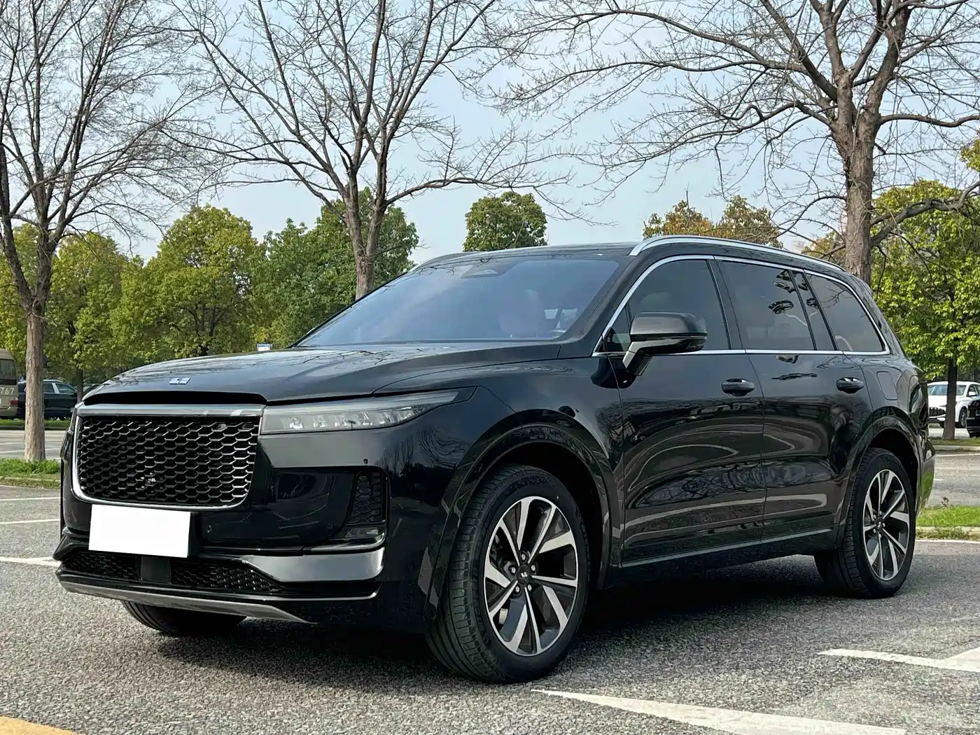 Li Auto Li ONE 2021