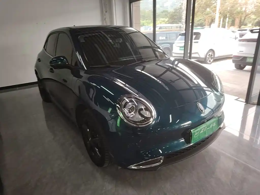 Ora Good Cat 2024 2024 401km Luxury