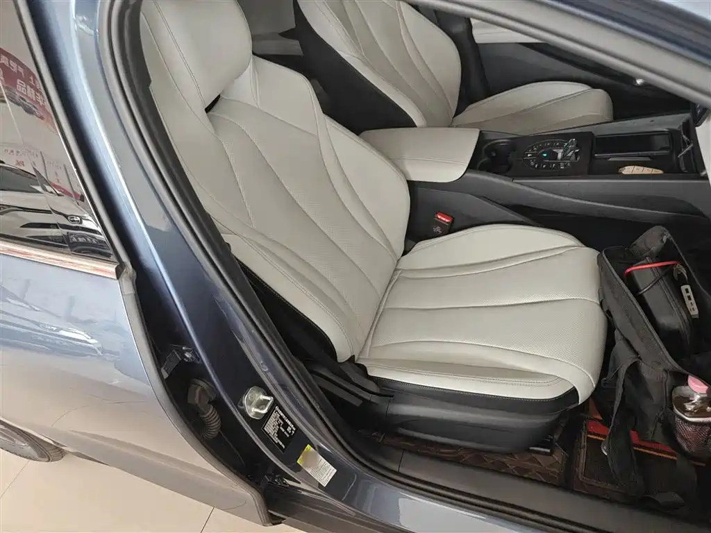 BYD Seal 06 New Energy 2025 DM-i Smart Drive 80KM Luxury фото 25