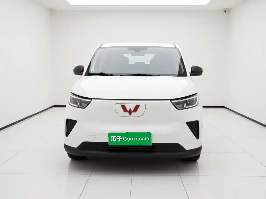 Wuling Motors Wuling Yangguang 2025 2024 300KM Comfort Bus Version 75kW