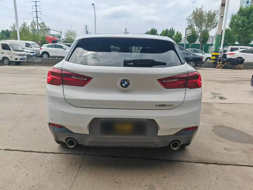 BMW X2 (Import) 2019 2019 sDrive25i Leading M Off-Road Package China VI