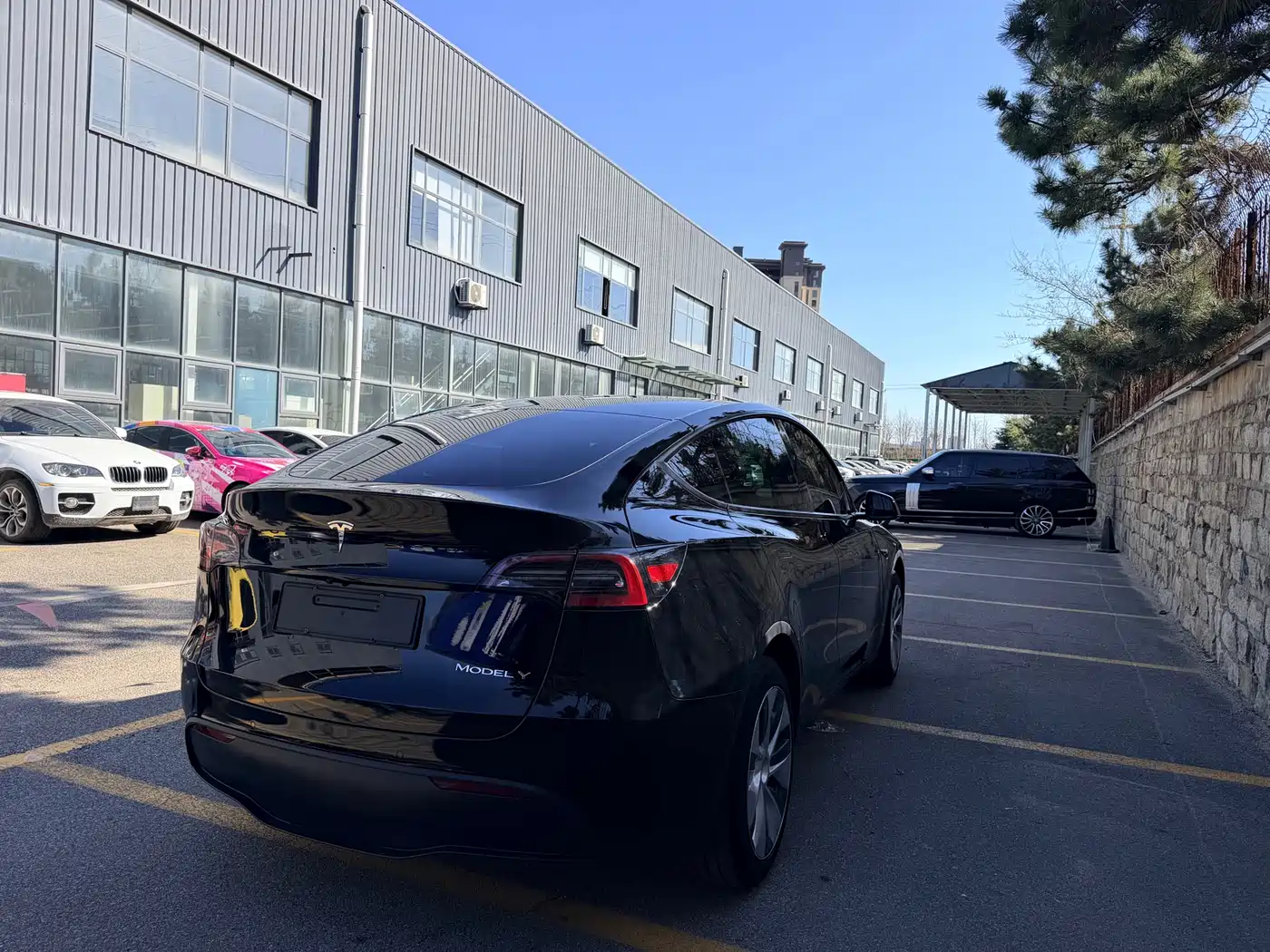 TESLA MODEL Y