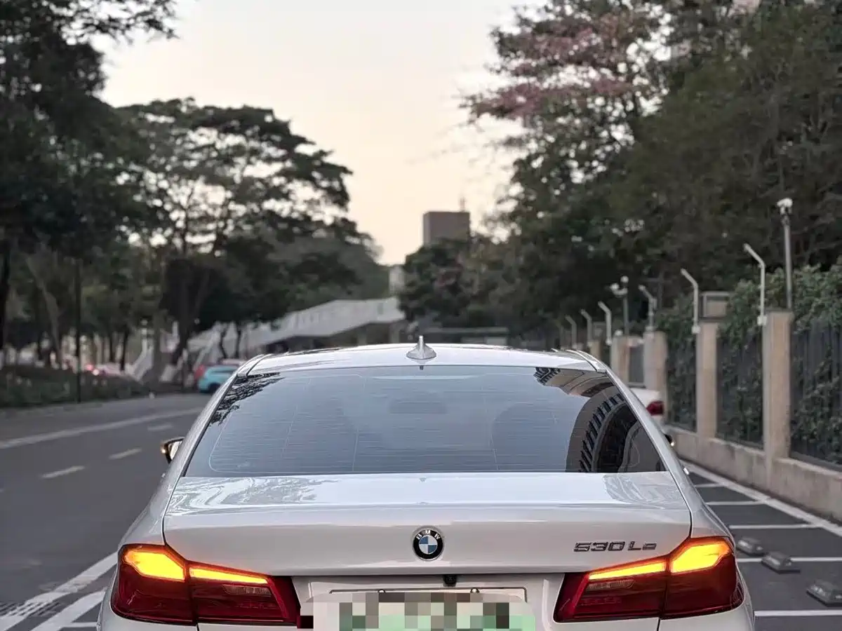 BMW 5 SERIES NEW ENERGY