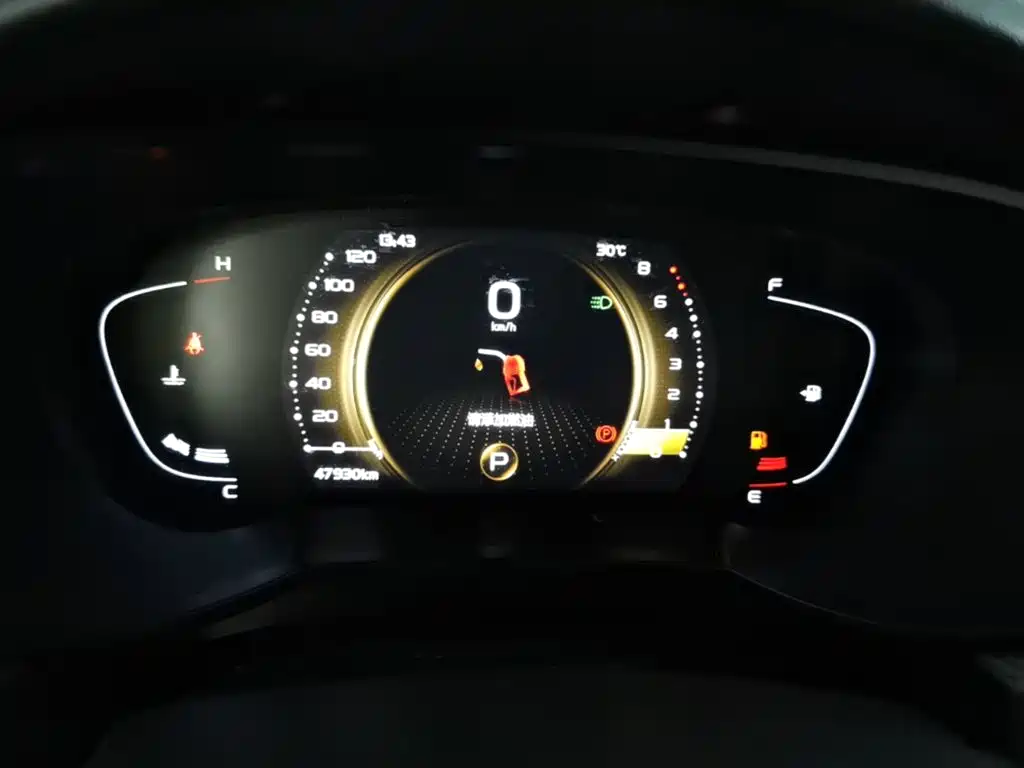 صورة 12 - Geely Emgrand GL