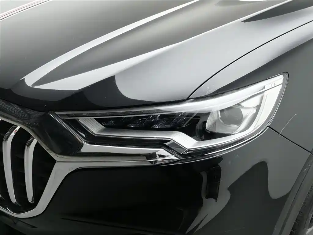 Hongqi HS5 2019 2.0T Smart Connect Enjoy Edition фото 7