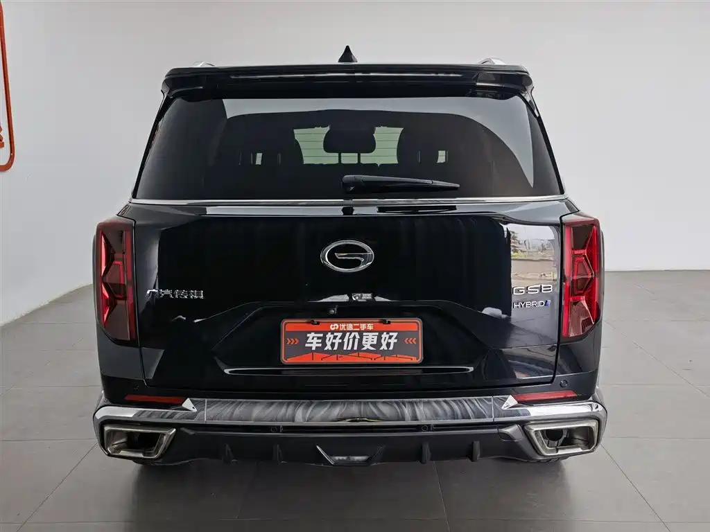 GAC Trumpchi Trumpchi GS8 2022 Dual Engine Series 2.0TM 2WD Premium Edition (7-Seater) фото 4