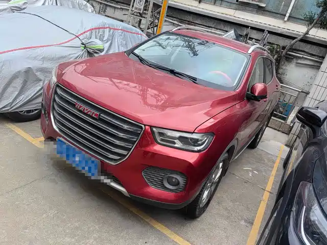 HAVAL H2S