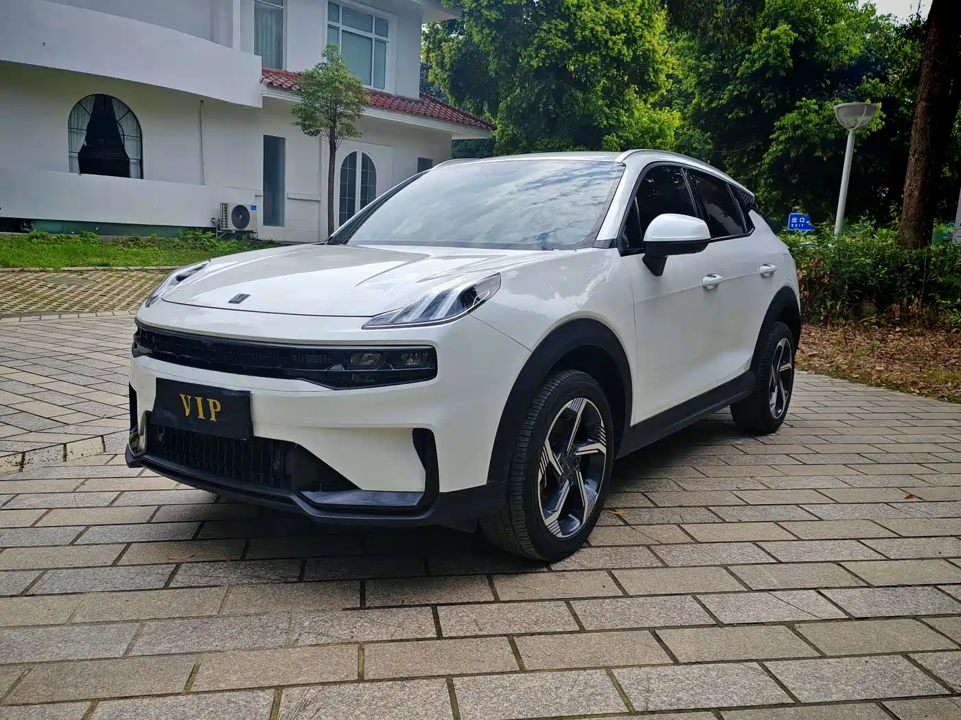 LYNK 06