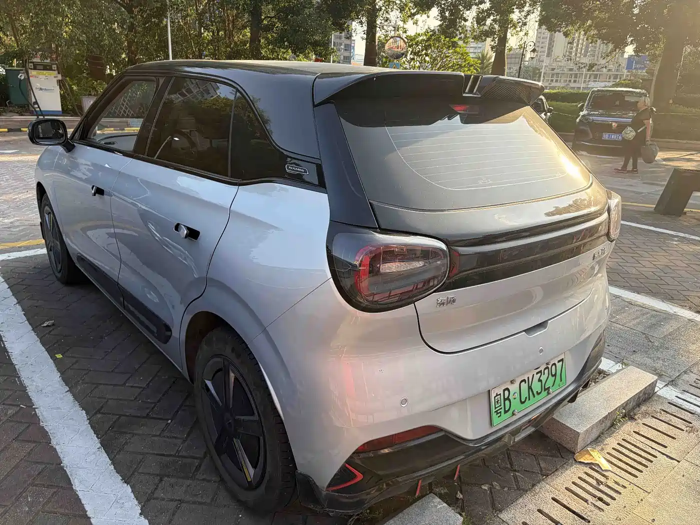 Dongfeng Yipai Nano 01 2024 2024 Co-Creation Edition ME Version